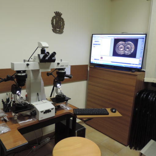 Esperto in Balistica Forense