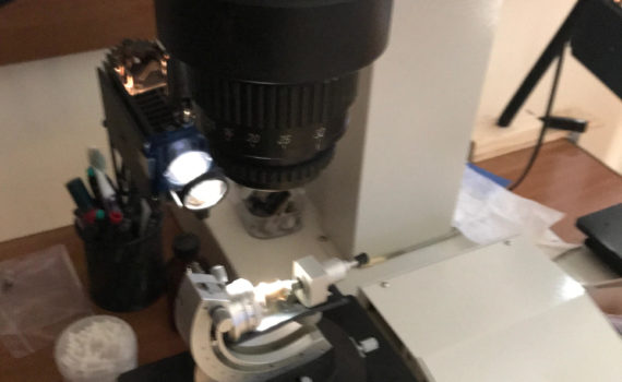 Esperto in Balistica Forense